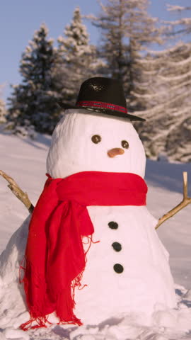 CLOSE UP, COPY SPACE, DOF: Scenic shot of a snowman wearing a hat and red scarf in the middle of a vast snowy meadow. Funny looking snowman stands in the idyllic wintry countryside on a sunny day.