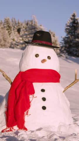 CLOSE UP, COPY SPACE, DOF: Funny looking snowman stands in the idyllic wintry countryside on a sunny day. Scenic shot of a snowman wearing a hat and red scarf in the middle of a vast snowy meadow.