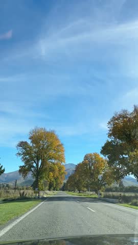 Serene drive through autumn countryside with majestic trees and clear blue sky