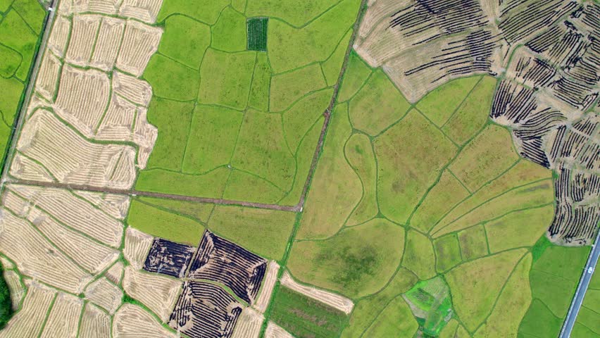 Drone view villages and farmlands among green mountains, high angel view rural landscape in autumn day, 4k real time footage b roll shot, Nanping village, Yixian, Anhui, China.