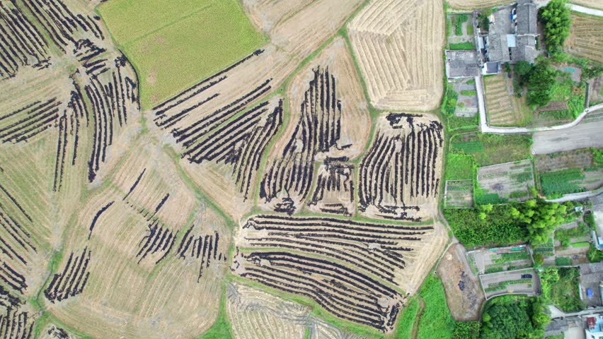 Drone view villages and farmlands among green mountains, high angel view rural landscape in autumn day, 4k real time footage b roll shot, Nanping village, Yixian, Anhui, China.