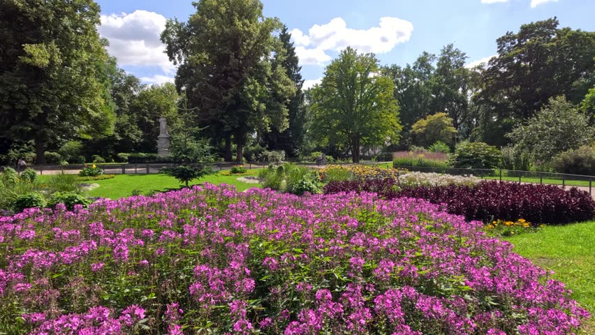 Slow daytime pan reveals vibrant fireweed flowers and lush greenery in a sunlit Berlin park.