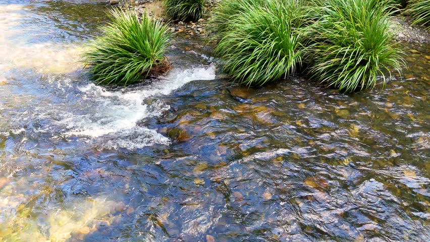 Aerial view of clear creek flowing around green grass and rocks in natural daylight.