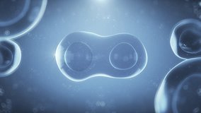 Cell cloning, stages of cell mitosis. Stem cells dividing under the microscope.A mother cell reproduces by duplicating its contents and dividing into two new cells called daughter cells. 3d animation. - Powered by Shutterstock - Get 15% off with code: PIKWIZARD15