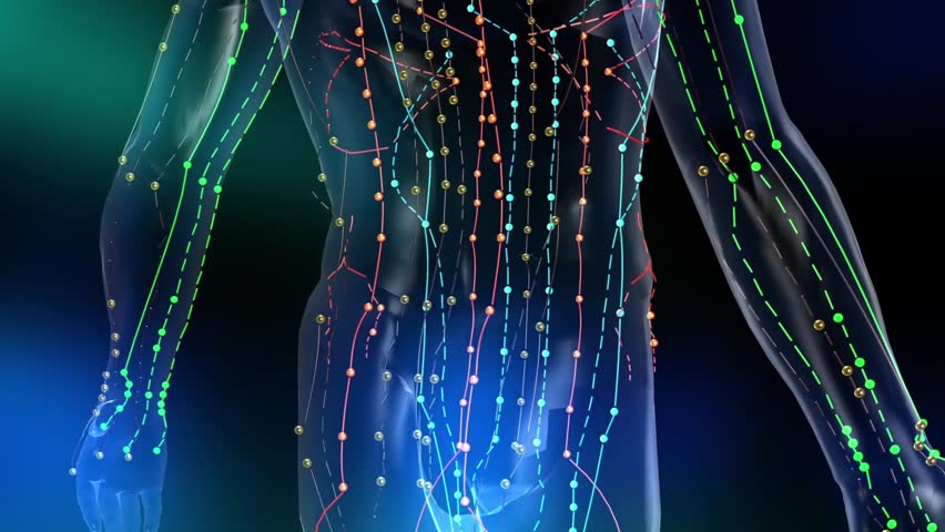 Acupuncture points on the human body, dredging meridians, Traditional Chinese Medicine, acupuncture, 3D animation.