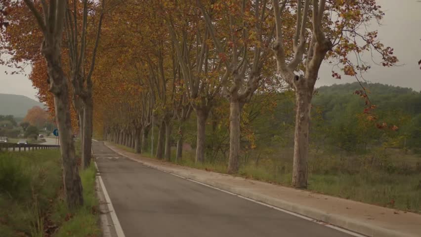 Grey Van Driving Along Scenic Road Surrounded by Autumnal Trees with Vibrant Fall Colors in 4K Ultra HD