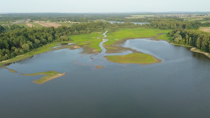 Natural wetland landscape with trees and river