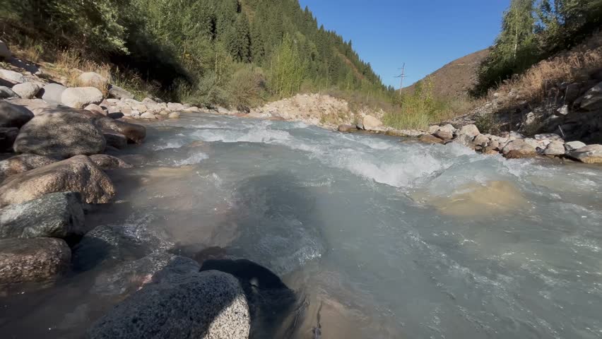 Beautiful view of a mountain river flowing near a coniferous forest. Scenic wilderness landscape with clear water, green trees, and rocky slopes creating peaceful atmosphere of untouched highland natu