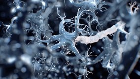 Neuron transmitting nerve impulses through synapses in a complex neural network - Powered by Shutterstock - Get 15% off with code: PIKWIZARD15