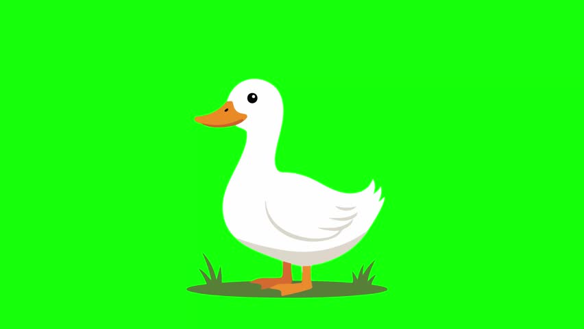Animated Duck Illustration – Cute and Funny Farm Animal Animation