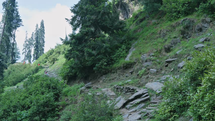 Pan shot of lush greenery on hills at Swat Valley of Pakistan.