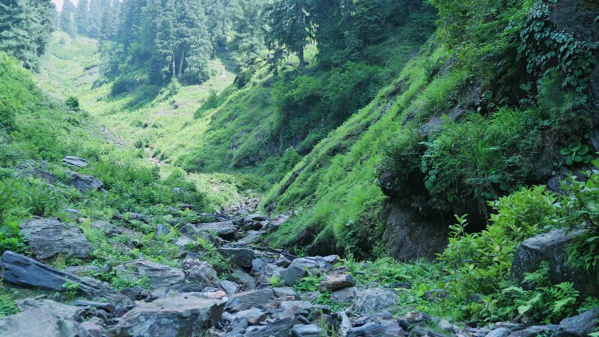 Shot of peaceful landscape of rocky path leading to green hills during daytime in Swat Valley of Pakistan.