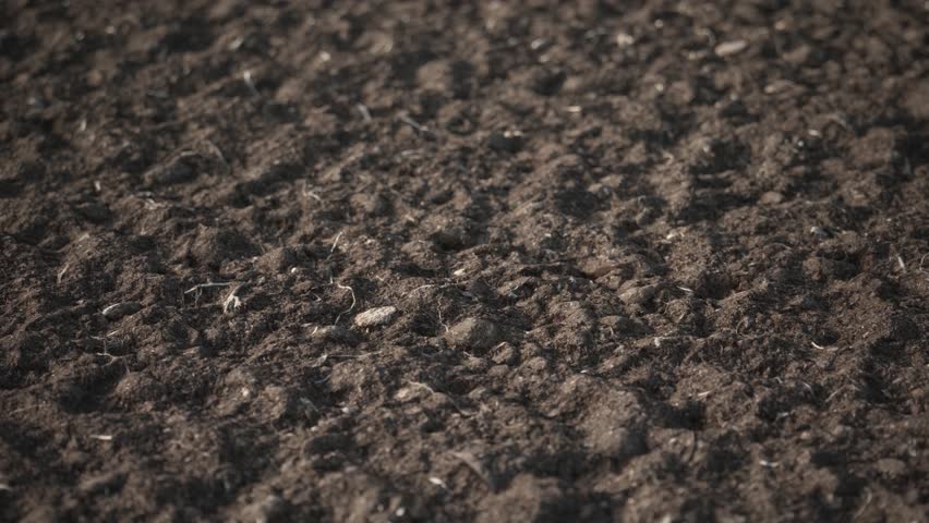 Empty Spring Plowed Field with Dark Soil. Early Season Agricultural Animation