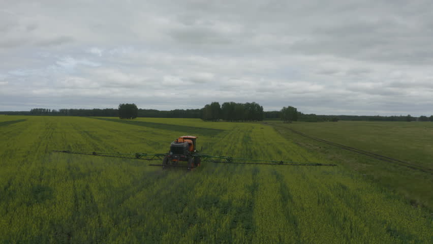The video shows the process of treating a rapeseed field with a modern self-propelled sprayer. The machine moves along the even rows of plants