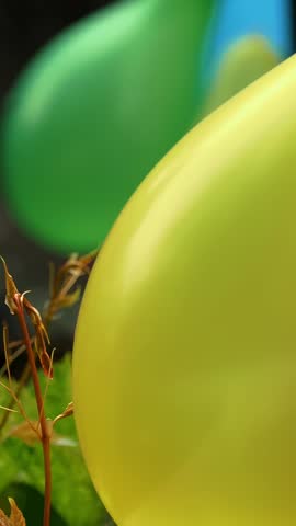 Decoration with balloons. close-up. decorating the yard of the house with colorful balloons for a party.