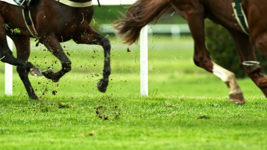 Super Slow Motion Shot of Running Horses at 1000fps.
