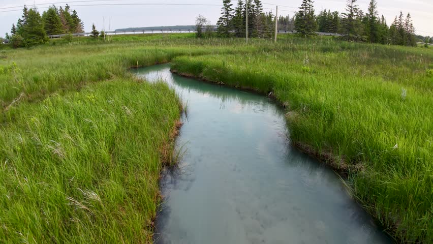 Aerial drone footage of a winding stream cutting through tall green grass in a lush marshland.