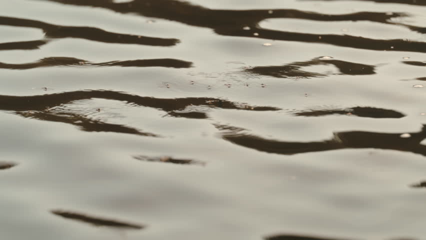 Slow motion closeup of flies hovering above river surface, ripples forming on water as golden hour light reflects, capturing tranquil outdoor and fly fishing environment