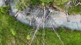 Aerial drone footage of a turquoise river winding through a forest with fallen trees and logs scattered across the waterway. - Powered by Shutterstock - Get 15% off with code: PIKWIZARD15