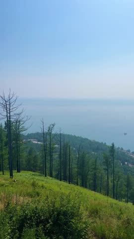 Camera pans over a peaceful mountain slope covered with trees, revealing a vast, calm lake and distant shoreline. View of Lake Baikal