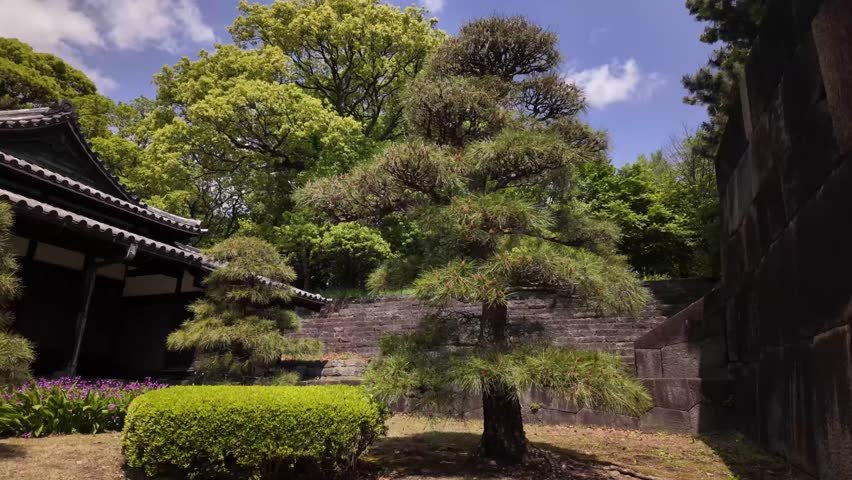 Japanese garden Imperial palace park royal grounds Tokyo Japan Asia nature