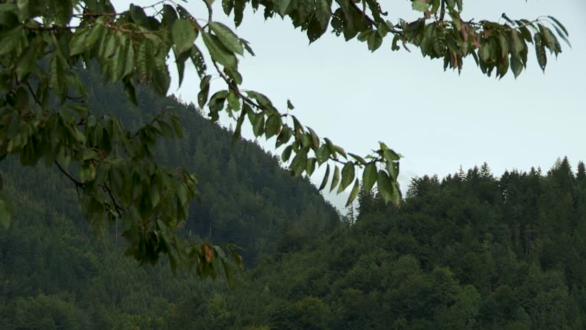 View to Werfen Castle, near to Salzburg, Austria, Europe