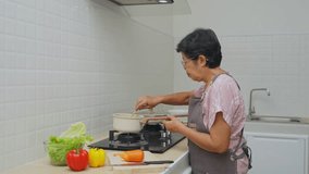 Senior woman cooking healthy meal in modern kitchen, stirring pot on stove, preparing food with vibrant vegetables, enjoying culinary experience at home - Powered by Shutterstock - Get 15% off with code: PIKWIZARD15