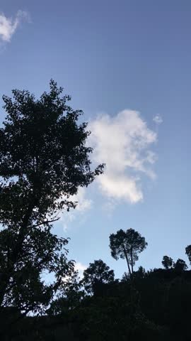 Title 
Time Lapse of Clouds Moving Over Mountains and Trees in Blue Sky.

Short Description 
Beautiful time-lapse of fluffy clouds drifting across a bright blue sky above majestic mountains.