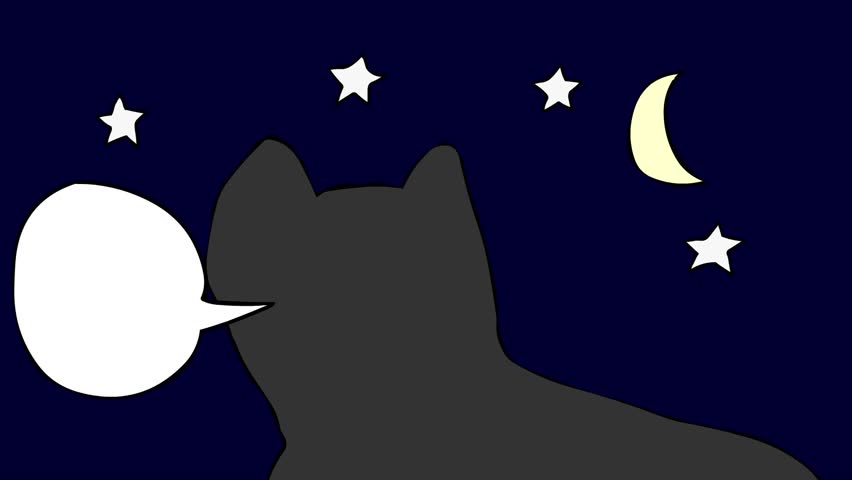 Dog in night says something and day sprung up