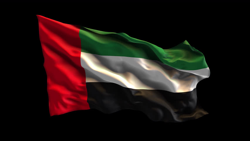 A detailed and realistic national flag on billowing fabric blowing and waving in the wind with dramatic light and shadow. The sequence plays on a loop with alpha for easy drag and drop.