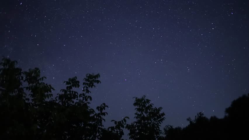 Milky way galaxy rising above trees at night