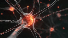 Detailed 3D neuron with glowing synapses, disruption of neural connections. Networks and brain function. Scientific, medical, educational theme. Broken loss of contact. Red damaged nerve. - Powered by Shutterstock - Get 15% off with code: PIKWIZARD15
