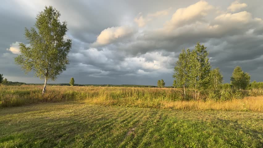 Beautiful clouds in the sky before a thunderstorm. Field. Trees. landscape