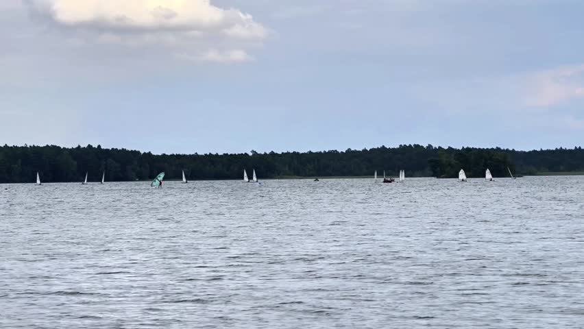 In a picturesque setting, colorful sailboats glide gracefully across a serene and calm lake beneath a bright blue sky