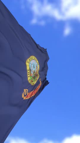 Idaho State Flag Waving Against Clear Blue Sky on a Sunny Day