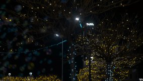 Christmas lights twinkle on the trees of the winter city, creating a magical Christmas atmosphere - Powered by Shutterstock - Get 15% off with code: PIKWIZARD15