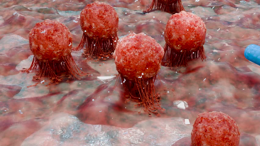 Capsule Pill Fighting and Destroying Cancer Cells or Viruses Inside Human Body, Concept of Medicine, Healthcare, Pharmaceutical Treatment, Immunotherapy and Disease Cure, viral flagella, 3d render