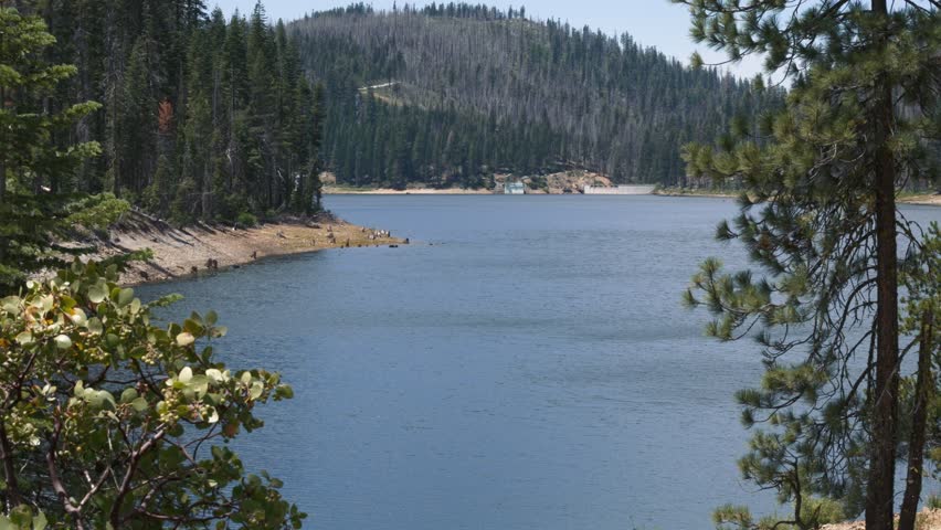 Mountain lake with pine forest and hills in background on sunny day creates atmosphere of tranquility and purity of nature