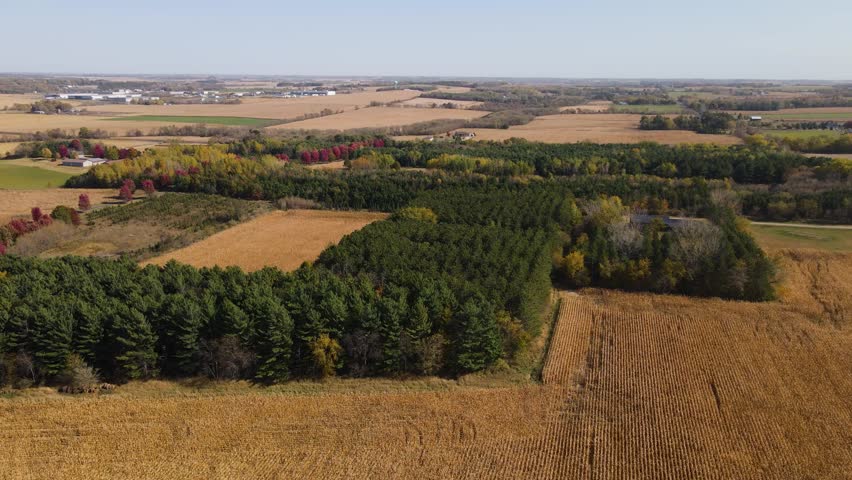Aerial view of colorful fall foliage, farmland, and forest patches in rural Minnesota, USA. Captured on a clear day with golden fields and tree lines stretching into the horizon.
