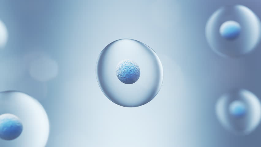 Microscopy of cell spreading, cell division, cell connections, biochemistry and DNA research in the science laboratory of the future.
