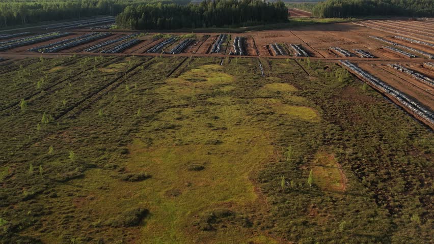 Aerial view of a lush peat bog with winding wooden boardwalks, small ponds, grassy patches, and scattered trees across the wetland landscape.