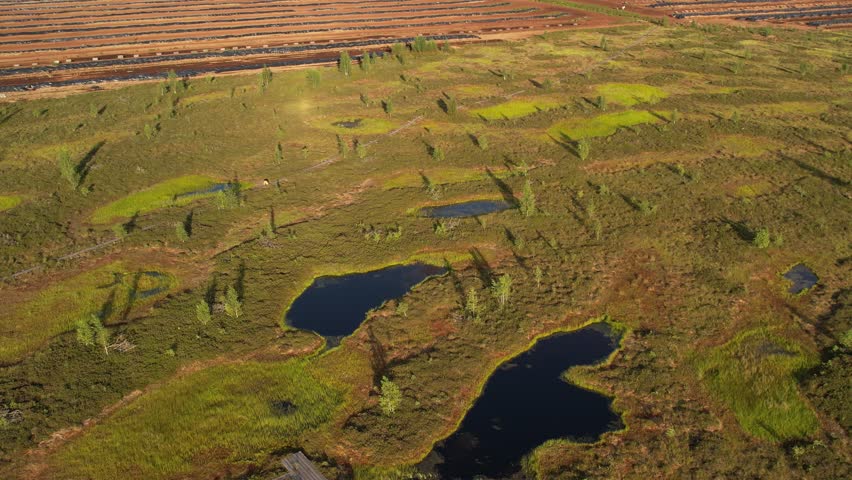 Aerial view of a lush peat bog with winding wooden boardwalks, small ponds, grassy patches, and scattered trees across the wetland landscape.