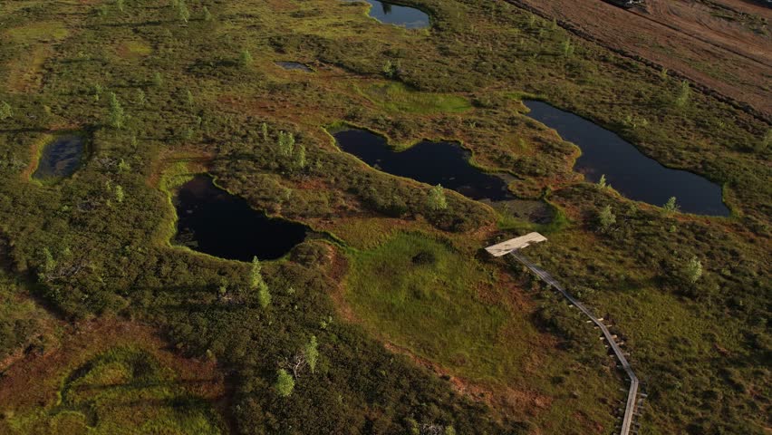 Aerial view of a lush peat bog with winding wooden boardwalks, small ponds, grassy patches, and scattered trees across the wetland landscape.