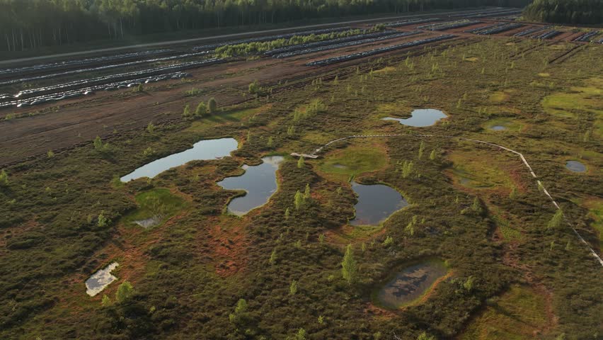 Aerial view of a lush peat bog with winding wooden boardwalks, small ponds, grassy patches, and scattered trees across the wetland landscape.