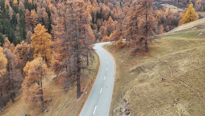 Albula pass Engadin Side during Autumn with the golden larches in Graubünden, Swiss Alps, Switzerland