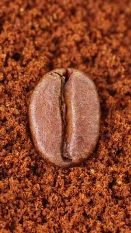Vertical View Of A Coffee Bean Over Coffee Powder. Close-up Macro Shot