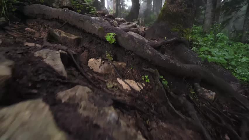 Into the Mist – An adventurous climb on a rugged and rocky mountain path
