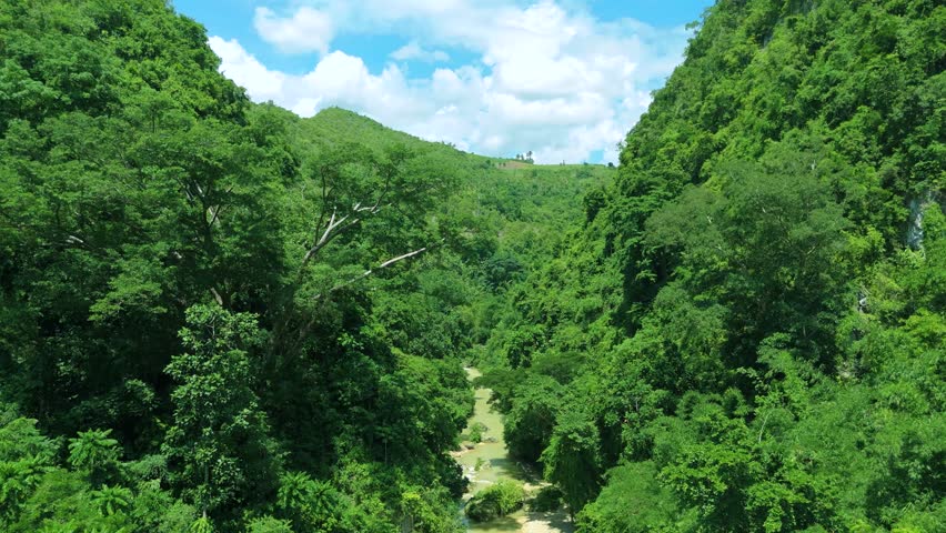 Lush green mountains covered in dense tropical forest with a winding river flowing through a valley under a blue sky, Kawasan Falls, Cebu, Philippines.