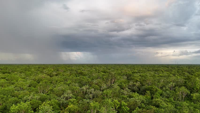 Heavy storm over the dense jungle in Yucatan Mexico