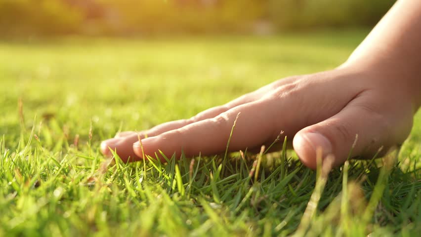 Touching grass tenderly reflects harmony with the earth, promoting well-being and sustainability. The moment embodies calm, mindfulness, sensory awareness, and appreciation for the natural world.
